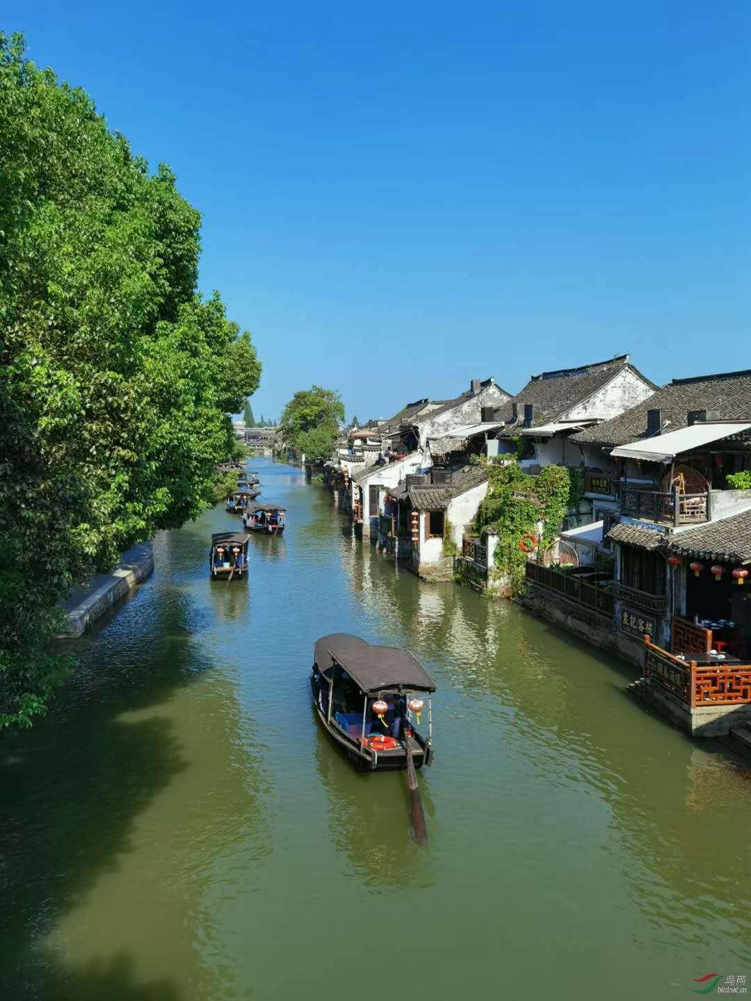 梦幻糖果森林逃生